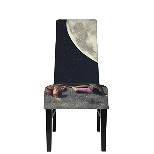 LESIF Fundas elásticas para silla de comedor, I Gave You The Moon For A Smile Funda protectora extraíble lavable suave para sillas de comedor para cocina, hogar, restaurante