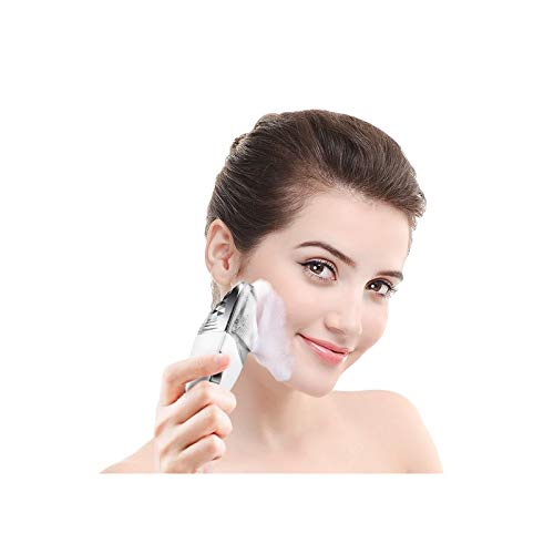 Lifetrons Ultra Cleanser | Cepillo facial eléctrico y masajeador antienvejecimiento con micro-vibraciones, EMS y iones positivos o negativos para un cuidado de la piel de última generación [CMD-100]