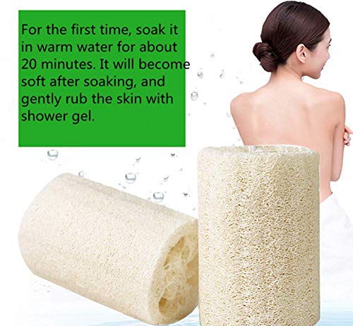Loofah Natural,4 PCS Esponja de Luffa Luffa Nature Exfoliante Loofah Spa para Baño para Ducha Corporal Limpieza de Cocina Depurador
