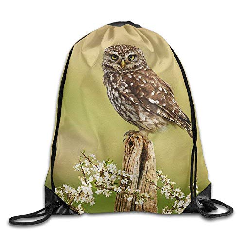 LoveBiuBiu French Fries Drawstring Bag Backpack Draw Cord Bag Sackpack Shoulder Bags Gym Bag Large Lightweight Gym For Men and Women Hiking Swimming Yoga Cute Little Owl