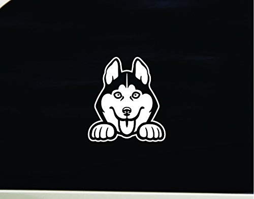 Lplpol vinilo adhesivo de alta calidad antipolvo, Husky vinilo, pegatina. Peek A Boo Pup Dog, personalizado para ventana, tablet, equipaje, buzón y mucho más. 15,24 cm.