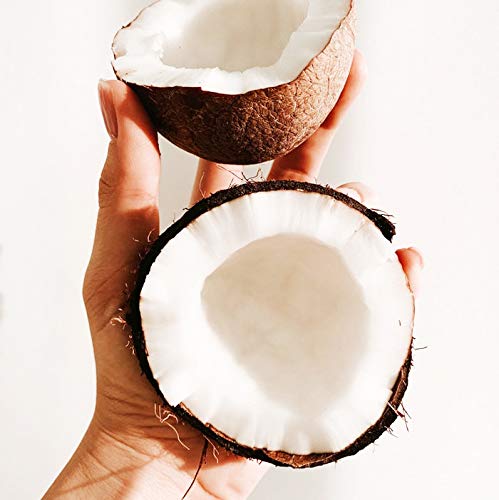 Manteca Corporal Todo Natural Coco & Argan Suntribe - 100% Orgánica - Olor Natural de Coco (Sin Perfume) - Hidratación intensa - Piel normal/sensible / (muy) seca - 5 Ingredients (150 ml)