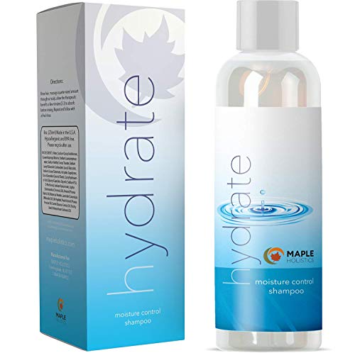 Maple Holistics Champú Hidratante Cabellos Secos y Dañados Con Lavanda y jojoba - hipoalergénica hidratante Hermosa cuidado del cabello para las mujeres y los hombres - La caspa del cuero cabelludo que pica - Tratamiento crecimiento natural del cabello - 