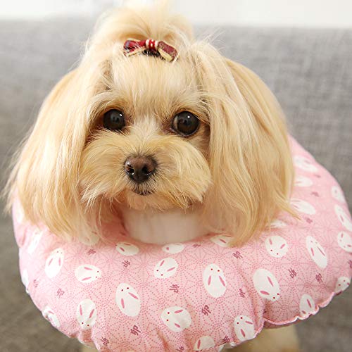 Mascota Perro y Gato Anti-lamiendo Cuello Cuello esterilización Anti-arañazos Capucha Anti-mordedura círculo de Elizabeth, Cosmos pequeño, M