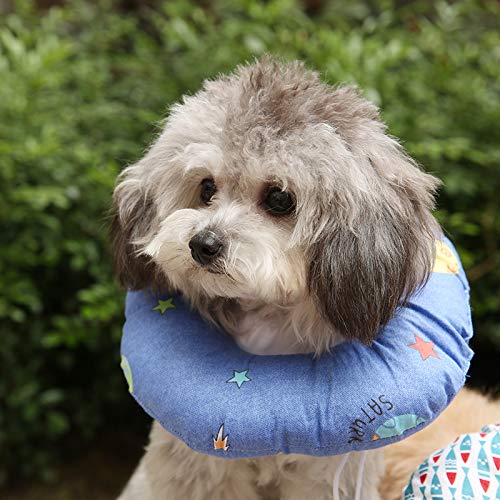 Mascota Perro y Gato Anti-lamiendo Cuello Cuello esterilización Anti-arañazos Capucha Anti-mordedura círculo de Elizabeth, Cosmos pequeño, M