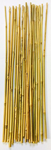 Mendi 20 Varillas de bambú. 75 cm / 8-10 mm diámetro