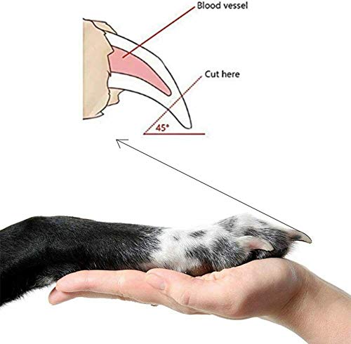 Mesyr Cortaúñas y recortadoras para perros con protección de seguridad cuchillas afiladas para aseo de mascotas