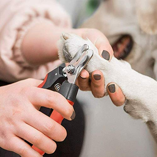 Mesyr Cortaúñas y recortadoras para perros con protección de seguridad cuchillas afiladas para aseo de mascotas