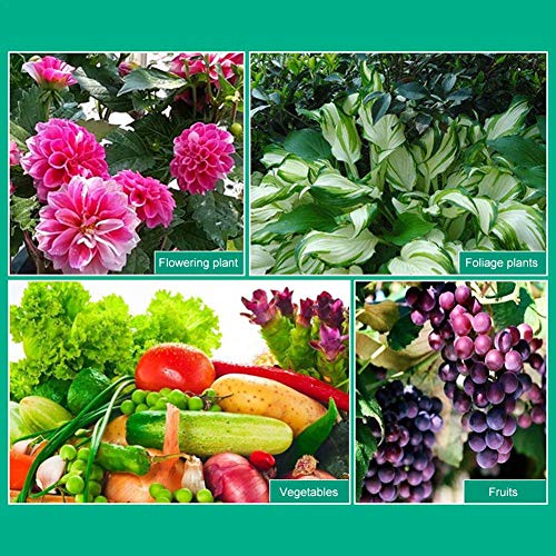 Mezcla de suelo de plantas suculentas de cactus, tierra para macetas de jardín casero Cactus cultivados, suelo de coco que ahorra agua （35.2 oz / 1000 g / 6 litros）