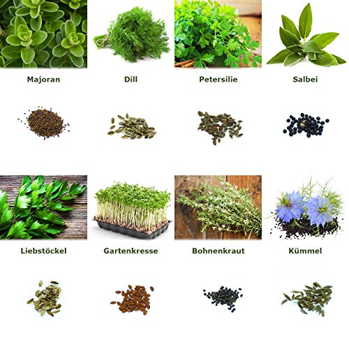 Mezcla/Set"Jardín de hierbas" 16 x 50 semillas de las hierbas más populares de Portugal / 100% natural (Sin químicos/ayudantes de crecimiento artificial)