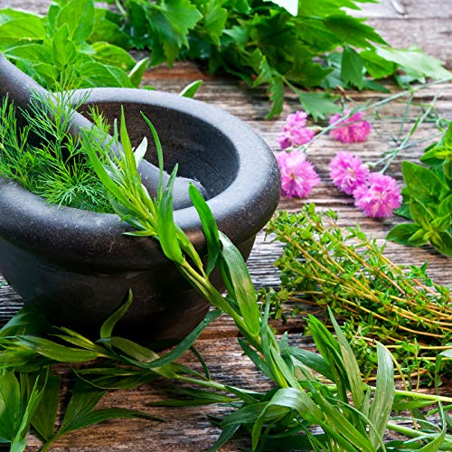 Mezcla/Set"Jardín de hierbas" 16 x 50 semillas de las hierbas más populares de Portugal / 100% natural (Sin químicos/ayudantes de crecimiento artificial)