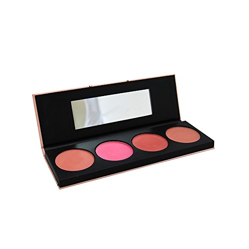 Mirlans blush palette paris paris 6604