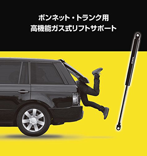 Monroe ML5193 Muelle neumático, Maletero/Compartimento de Carga