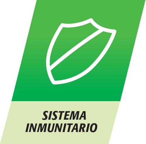 Multicentrum Select 50+, Complemento Alimenticio con 13 Vitaminas y 11 Minerales, para Adultos a partir de los 50 años - 30 Comprimidos