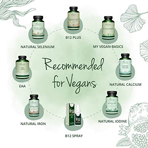 Multivitaminas Para Veganos Vegavero® | El Único Sin Aditivos | Vitamina B12 + Calcio (Aquamin) + D3 (Vitashine) + Hierro + Selenio + Zinc + Yodo + B2 | 180 Cápsulas | Complejo Multivitamínico