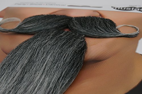 Mustaches Barba y Bigote Grises Estilo Imperial Napoleón III