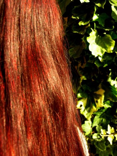 Natural Spa Supplies Polvo de henna marroquí 100% puro y natural tinte para el cabello, 200 g