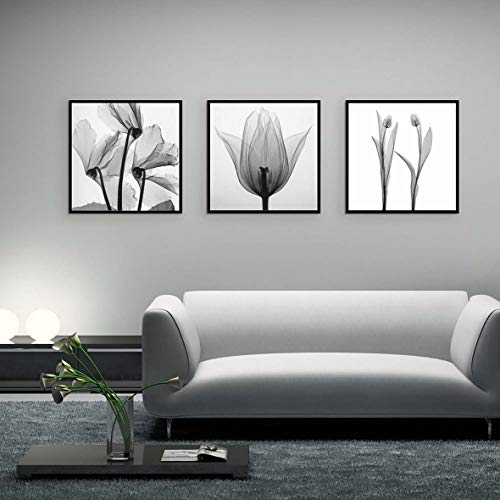 ngzhongtu Black White Tulip Three Set Wall Art Canvas Spray Painting Decoración del hogar-Negro, Blanco