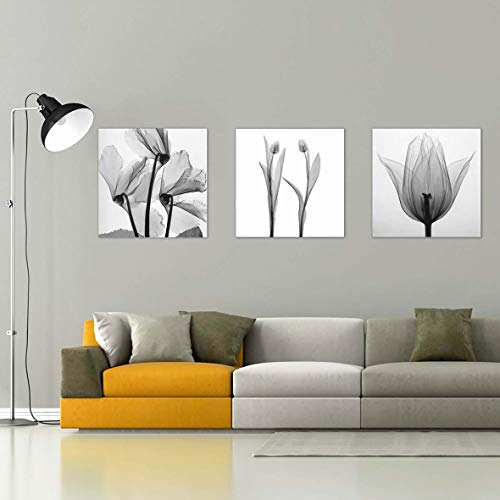 ngzhongtu Black White Tulip Three Set Wall Art Canvas Spray Painting Decoración del hogar-Negro, Blanco