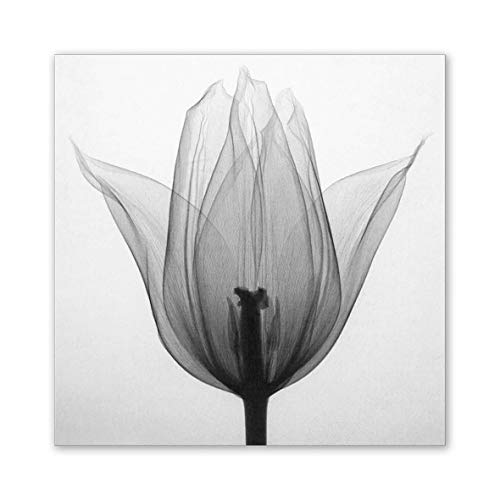ngzhongtu Black White Tulip Three Set Wall Art Canvas Spray Painting Decoración del hogar-Negro, Blanco