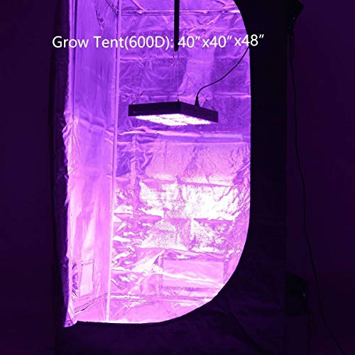 Niello Lente Óptica Dual Serie 900W. Luces LED para el crecimiento de las plantas. Espectro completo para plantas de interior para conseguir crecimiento y floración (dos interruptores,12-bandas）