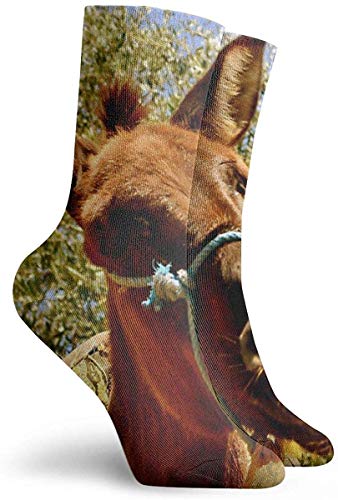 Nifdhkw Calcetines de vestir para hombres y mujeres, calcetines deportivos para correr, calcetines de compresión para correr, viajes, ciclismo, embarazadas, enfermera, vuelo, actitud de burro