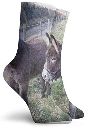 Nifdhkw Calcetines de vestir para hombres y mujeres, calcetines deportivos para correr, calcetines de compresión para correr, viajes, ciclismo, embarazadas, enfermera, vuelo, burro, burro