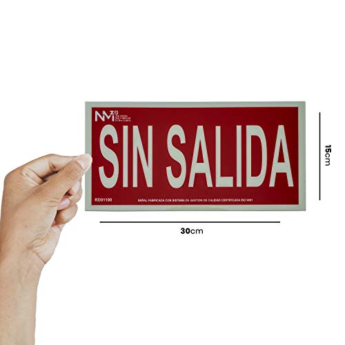 Normaluz NM RD01100 - Señal Luminiscente sin Salida Clase B PVC 0.7 mm 30 x 15 cm con CTE, Ripci y Apto para la Nueva Legislación, Rojo