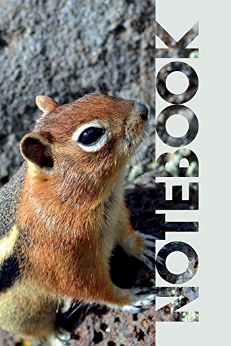 Notebook: Chipmunk Pet Useful Composition Book for Fans of the Siberian and Eastern Rodent