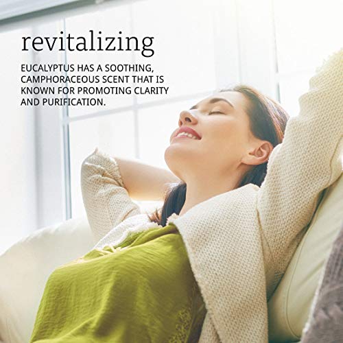 Now Foods Aceite Esencial, Aceite De Eucalipto 1 Unidad 30 ml