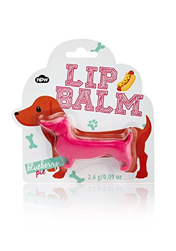 NPW Perro Salchicha con Pastel de Arándanos - 8 Paquetes de 300 gr - Total: 2400 gr