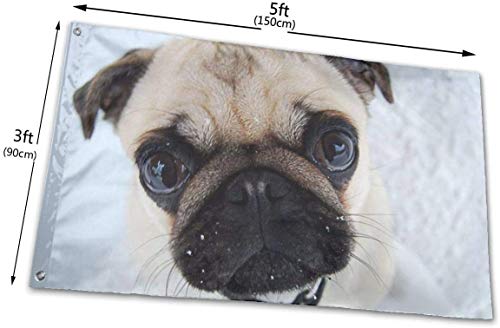Oaqueen Banderas, 3x5 Foot Decorative Flag Funny Pug Dog Snow Single Sided Colorful Polyester Bandiera Banner for Outdoor Home Garden Decor