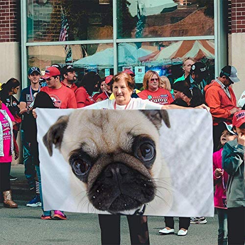 Oaqueen Banderas, 3x5 Foot Decorative Flag Funny Pug Dog Snow Single Sided Colorful Polyester Bandiera Banner for Outdoor Home Garden Decor