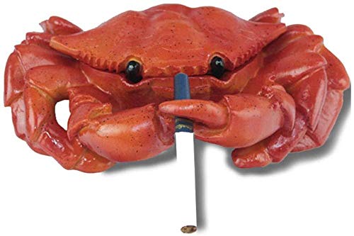 OFJM Estatuas para jardín Cenicero Personalidad Oficina Creativo Resina Animal cenicero hogar Dormitorio decoración Anciano Novio Regalo