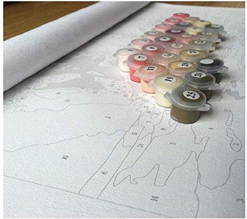 Óleo Digital Diy De Bricolaje Kit De Pintura Sala De 40X50Cm Vista De La Costa De Punta Pedrera En Las Islas Baleares De Formentera, España Pintura Digital De Bricolaje Decoración Infantil De Pared