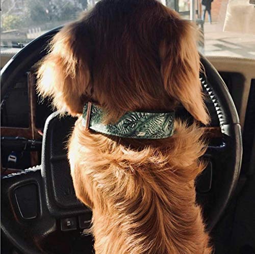 One Sweet Pup - Collar de Rosas, Color Rosa