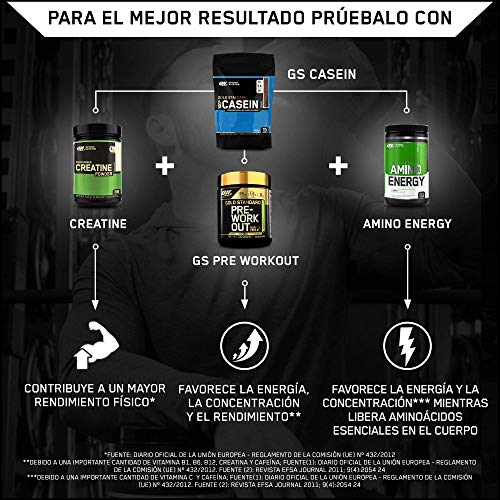 Optimum Nutrition ON 100% Gold Standard Casein, Proteínas en Polvo con BCAA Aminoacidos Ramificados y Esenciales, para recuperación, bajo en Azúcar, Chocolate, 13 porciones, 450 g