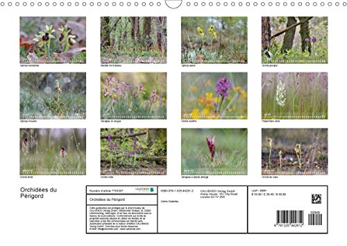 Orchidees du Périgord (calendrier mural 2020 din a3 horizontal) - belles et fragiles fleurs sauvages (Calvendo Nature): Belles et fragiles fleurs sauvages (Calendrier mensuel, 14 Pages )