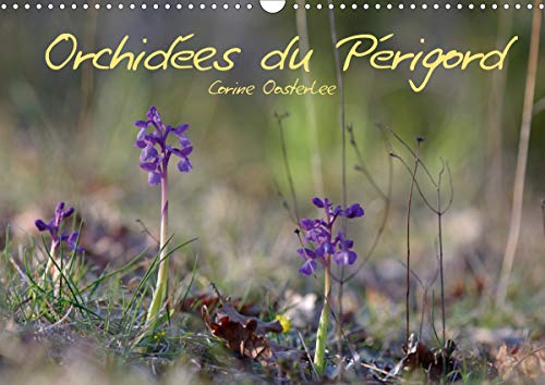 Orchidees du Périgord (calendrier mural 2020 din a3 horizontal) - belles et fragiles fleurs sauvages (Calvendo Nature): Belles et fragiles fleurs sauvages (Calendrier mensuel, 14 Pages )