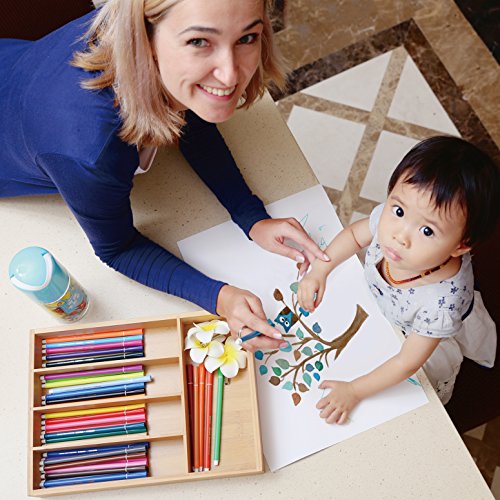 Organic madera de bambú cubiertos cajón organizador con 5 compartimentos, durable para utensilios bandeja, agradable y antimicrobiana cubiertos cajón Divers, Natural y Ecológica