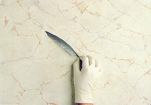 Owatrol 965 - Floetrol cepillo y optimizador de funcionamiento para las pinturas a base de agua de 1 litro