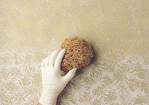 Owatrol 965 - Floetrol cepillo y optimizador de funcionamiento para las pinturas a base de agua de 1 litro