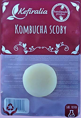 Pack Kéfir de Leche 40g + Kéfir de Agua 100g + Kombucha SCOBY Frescos