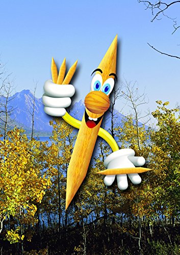 Palillos higiénicos redondos a granel 12 cajas de 800 unidades cada una