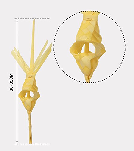 PALMA DOMINGO DE RAMOS/PALMA SEMANA SANTA/PALMA BLANCA/PALMAS Y PALMONES/Pack 2 Palma Laurel + 2 Palma Ojal Larga