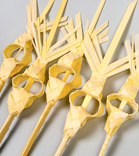 PALMA DOMINGO DE RAMOS/PALMA SEMANA SANTA/PALMA BLANCA/PALMAS Y PALMONES/Palma Laurel/PACK 5 UNIDADES