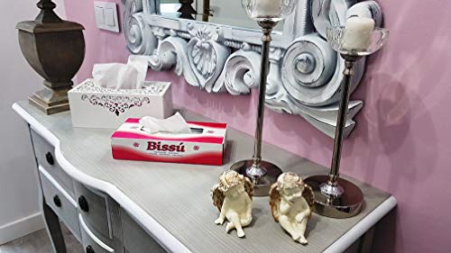 Pañuelos Faciales de 2 Capas, 40 Cajas x 100 Pañuelos