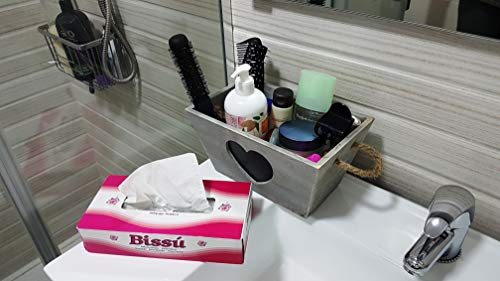 Pañuelos Faciales de 2 Capas, 40 Cajas x 100 Pañuelos