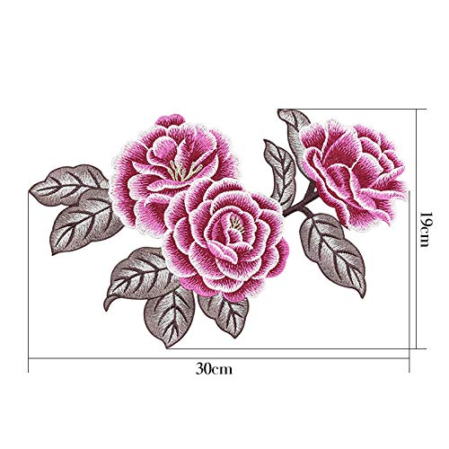 Parches para planchar/Patch Sticker,Se usa para decorar o reparar jeans,chaquetas,mochilas y zapatos de camisetas, peonía 6 piezas