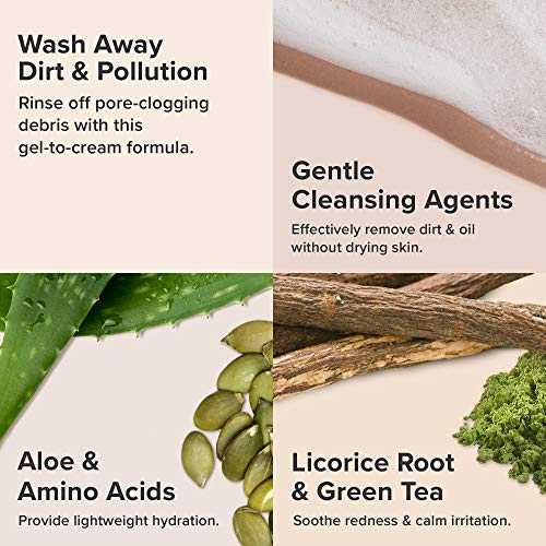 Paula's Choice Defense Gel Limpiador Facial - Espuma Limpiadora Limpieza el Maquillaje y Sebo - Desmaquillante con Aminoácidos - Todos Tipos de Piel - 198 ml